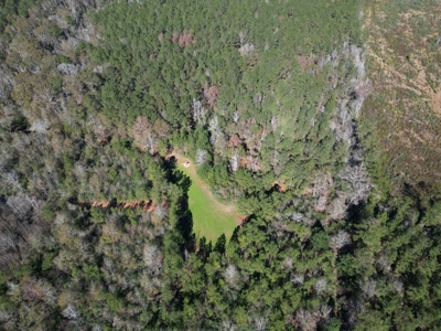167 Acres Hunting Land for Sale in Amite County, MS - image 14