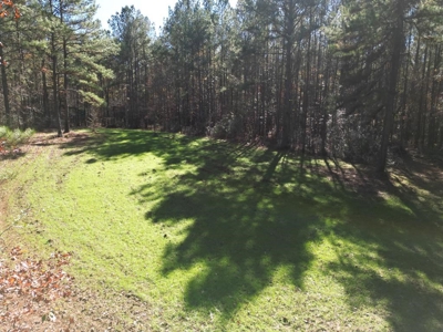 167 Acres Hunting Land for Sale in Amite County, MS - image 15