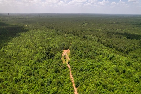 167 Acres Hunting Land for Sale in Amite County, MS - image 21