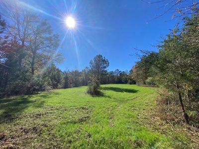 167 Acres Hunting Land for Sale in Amite County, MS - image 27