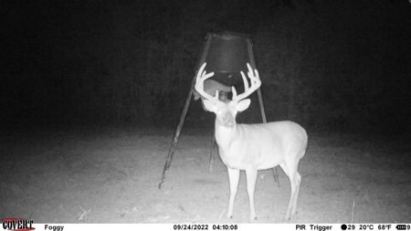 167 Acres Hunting Land for Sale in Amite County, MS - image 1