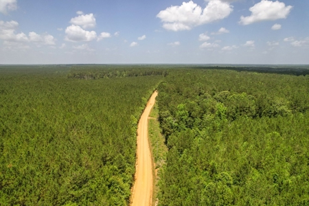 167 Acres Hunting Land for Sale in Amite County, MS - image 17