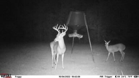 167 Acres Hunting Land for Sale in Amite County, MS - image 5