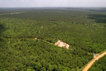 167 Acres Hunting Land for Sale in Amite County, MS - image 18