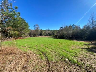 167 Acres Hunting Land for Sale in Amite County, MS - image 25