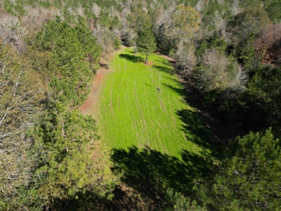 167 Acres Hunting Land for Sale in Amite County, MS - image 12
