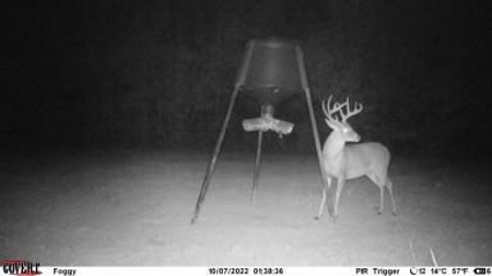 167 Acres Hunting Land for Sale in Amite County, MS - image 4