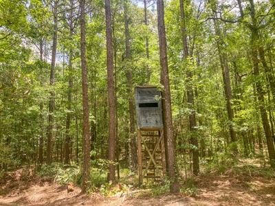 167 Acres Hunting Land for Sale in Amite County, MS - image 41