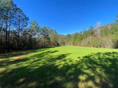 167 Acres Hunting Land for Sale in Amite County, MS - image 29