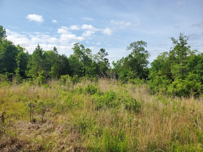 25 Acres Of Wooded Land With A Creek In Antlers Ok For Sale - image 5
