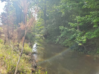 25 Acres Of Wooded Land With A Creek In Antlers Ok For Sale - image 2