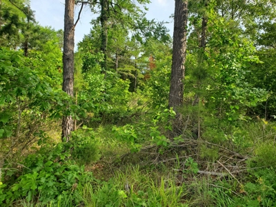 25 Acres Of Wooded Land With A Creek In Antlers Ok For Sale - image 7