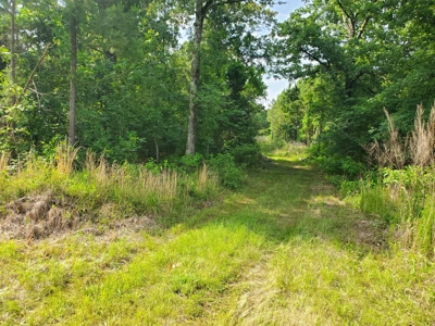 25 Acres Of Wooded Land With A Creek In Antlers Ok For Sale - image 1
