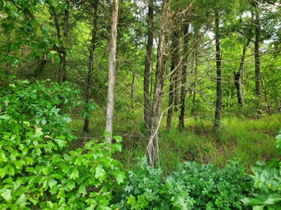 25 Acres Of Wooded Land With A Creek In Antlers Ok For Sale - image 6
