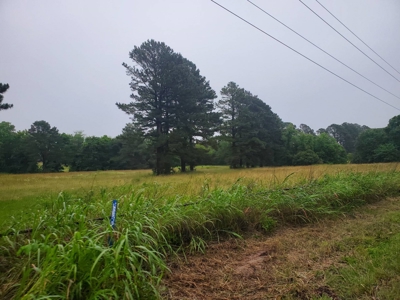 5 Acre Creek Front Homesite In Hugo Oklahoma For Sale!! - image 2