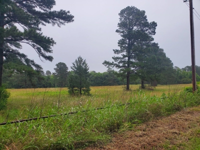 5 Acre Creek Front Homesite In Hugo Oklahoma For Sale!! - image 1