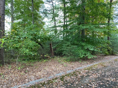 Gated Stillwater Subdivision Lot 142 on Lake Cumberland - image 2