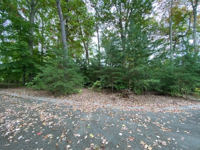 Gated Stillwater Subdivision Lot 142 on Lake Cumberland - image 1