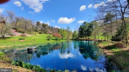 Raptor Ridge Farm, Flintstone MD - image 3
