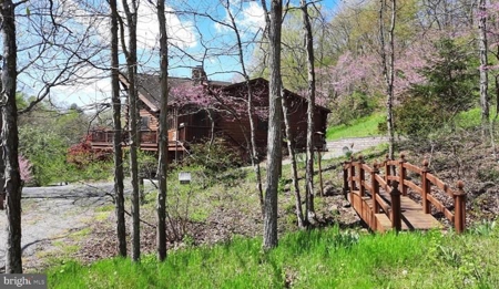 Raptor Ridge Farm, Flintstone MD - image 10