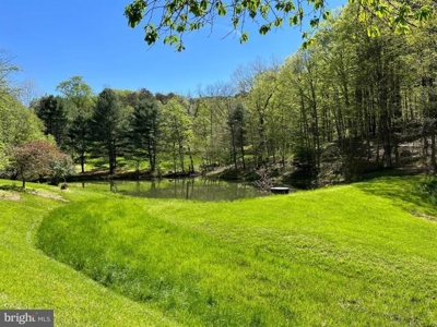 Raptor Ridge Farm, Flintstone MD - image 8