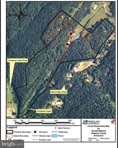 Raptor Ridge Farm, Flintstone MD - image 20