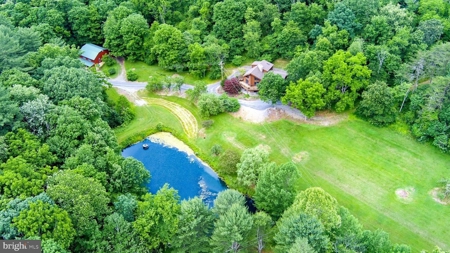 Raptor Ridge Farm, Flintstone MD - image 1