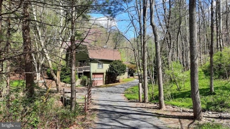 Raptor Ridge Farm, Flintstone MD - image 4
