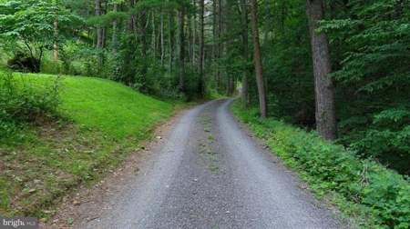Raptor Ridge Farm, Flintstone MD - image 19