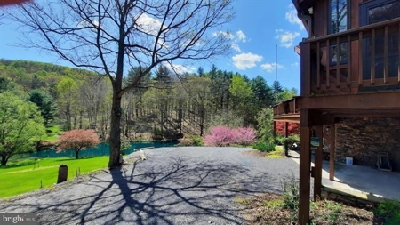 Raptor Ridge Farm, Flintstone MD - image 6