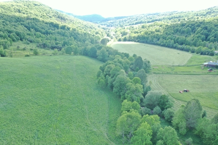 Bovina Farmland - image 18