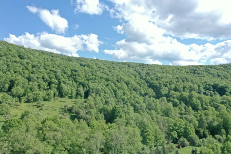 Bovina Farmland - image 9