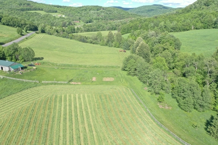 Bovina Farmland - image 12