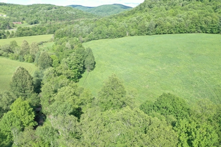 Bovina Farmland - image 15