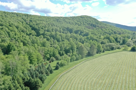 Bovina Farmland - image 8