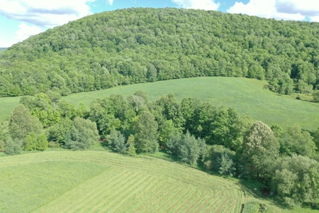 Bovina Farmland - image 7