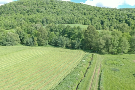 Bovina Farmland - image 2
