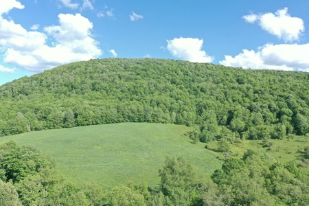 Bovina Farmland - image 10