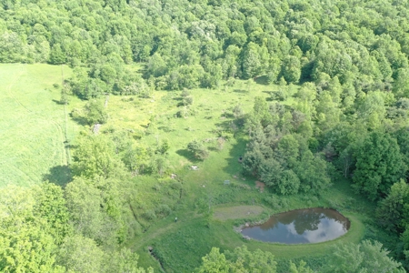 Bovina Farmland - image 14