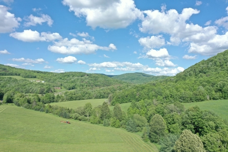 Bovina Farmland - image 11