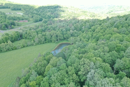 Bovina Farmland - image 17