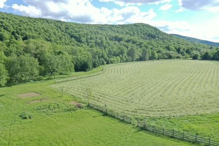 Bovina Farmland - image 3