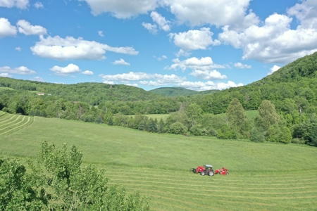Bovina Farmland - image 1