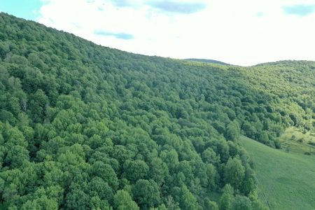 Bovina Farmland - image 19