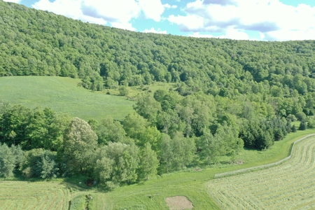 Bovina Farmland - image 6