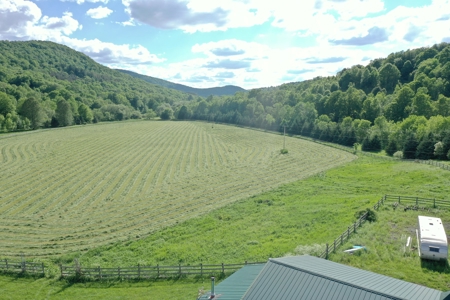 Bovina Farmland - image 4