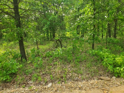 30 Acres More Or Less With A Pond In Atoka County For Sale - image 4