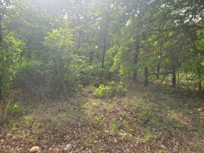 30 Acres More Or Less With A Pond In Atoka County For Sale - image 3