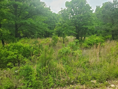 30 Acres More Or Less With A Pond In Atoka County For Sale - image 7