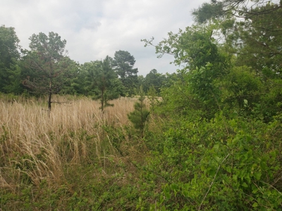 30 Acres More Or Less With A Pond In Atoka County For Sale - image 5